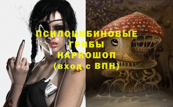 спайс Алексин