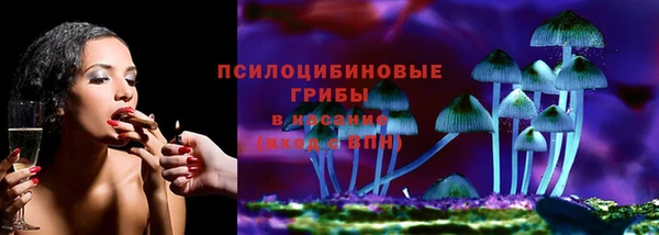 спайс Алзамай