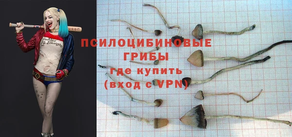 винт Алексеевка